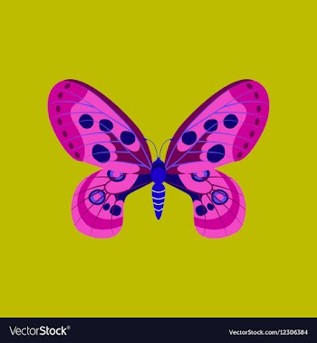 Colorful icon of butterfly isolated on green vector image