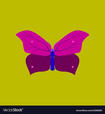 Colorful icon of butterfly isolated on green vector image