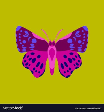 Colorful icon of butterfly isolated on green vector image