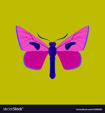 Colorful icon of butterfly isolated on green vector image