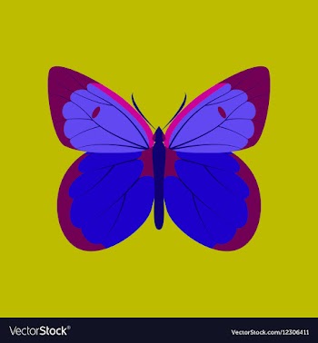 Colorful icon of butterfly isolated on green vector image