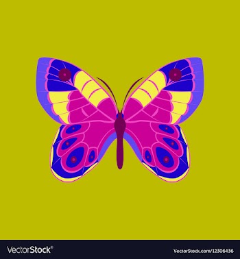 Colorful icon of butterfly isolated on green vector image