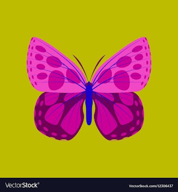 Colorful icon of butterfly isolated on green vector image