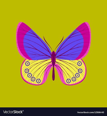 Colorful icon of butterfly isolated on green vector image