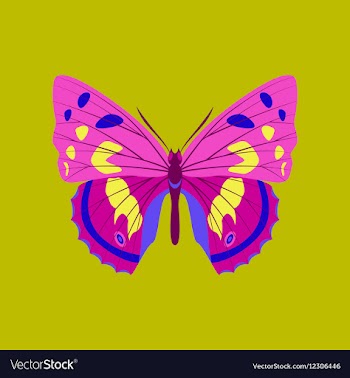 Colorful icon of butterfly isolated on green vector image
