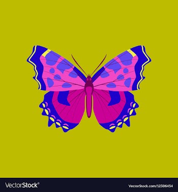 Colorful icon of butterfly isolated on green vector image