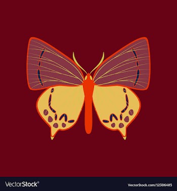 Colorful icon of butterfly isolated on red vector image