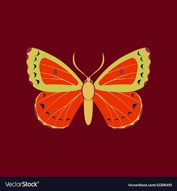 Colorful icon of butterfly isolated on red vector image