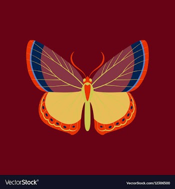 Colorful icon of butterfly isolated on red vector image