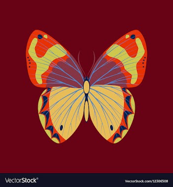 Colorful icon of butterfly isolated on red vector image