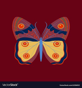 Colorful icon of butterfly isolated on red vector image