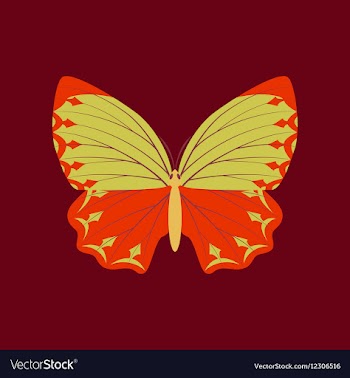 Colorful icon of butterfly isolated on red vector image