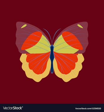 Colorful icon of butterfly isolated on red vector image
