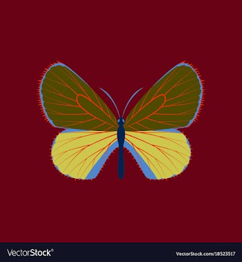 Colorful icon of butterfly isolated on red vector image