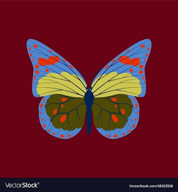 Colorful icon of butterfly isolated on red vector image