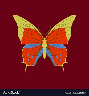 Colorful icon of butterfly isolated on red vector image