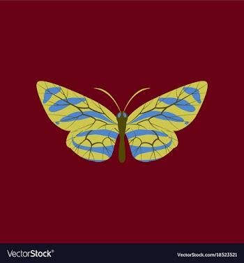 Colorful icon of butterfly isolated on red vector image