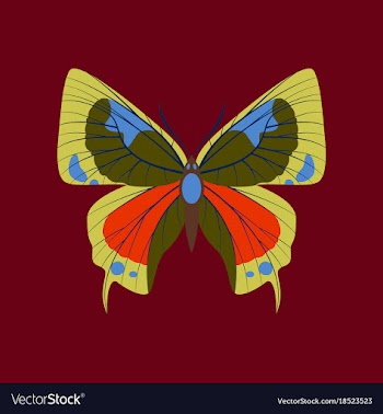 Colorful icon of butterfly isolated on red vector image