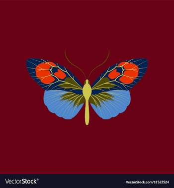 Colorful icon of butterfly isolated on red vector image