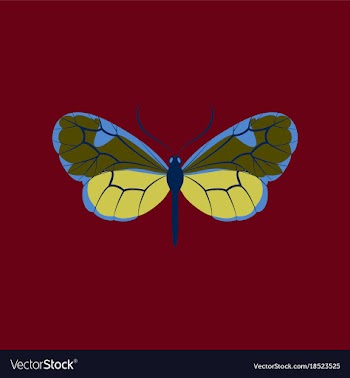 Colorful icon of butterfly isolated on red vector image