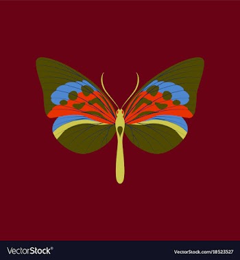 Colorful icon of butterfly isolated on red vector image