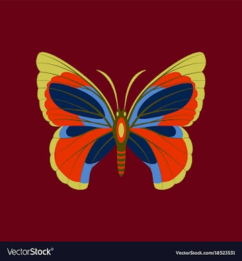 Colorful icon of butterfly isolated on red vector image