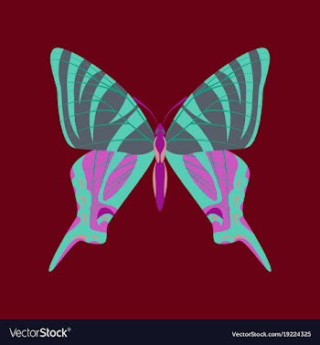 Colorful icon of butterfly isolated on red vector image