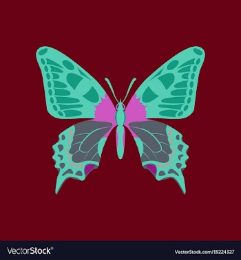 Colorful icon of butterfly isolated on red vector image