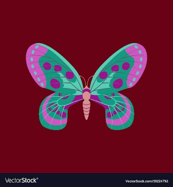 Colorful icon of butterfly isolated on red vector image