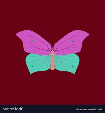 Colorful icon of butterfly isolated on red vector image