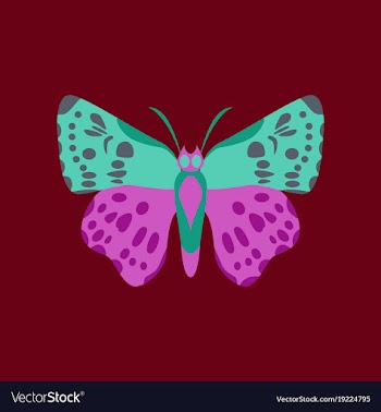 Colorful icon of butterfly isolated on red vector image