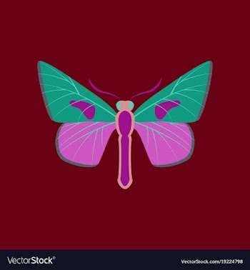 Colorful icon of butterfly isolated on red vector image