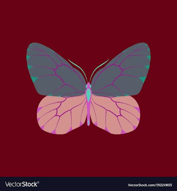 Colorful icon of butterfly isolated on red vector image