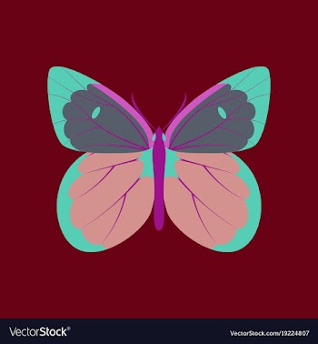 Colorful icon of butterfly isolated on red vector image