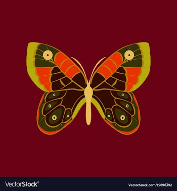 Colorful icon of butterfly isolated on red vector image