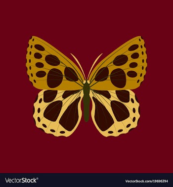 Colorful icon of butterfly isolated on red vector image