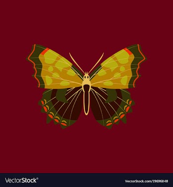 Colorful icon of butterfly isolated on red vector image