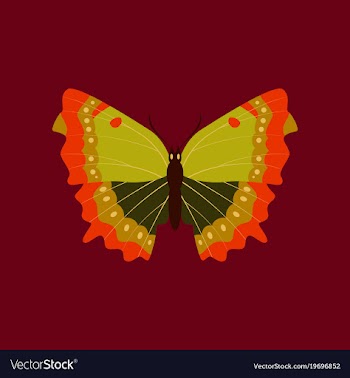 Colorful icon of butterfly isolated on red vector image