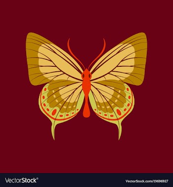 Colorful icon of butterfly isolated on red vector image