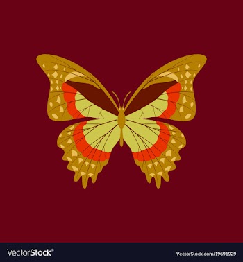 Colorful icon of butterfly isolated on red vector image