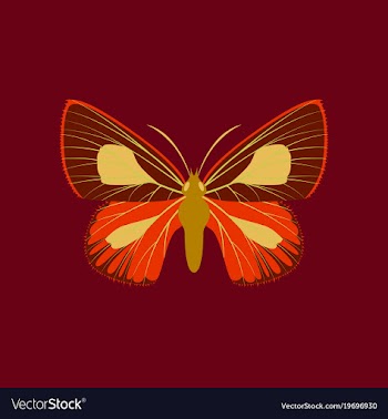 Colorful icon of butterfly isolated on red vector image