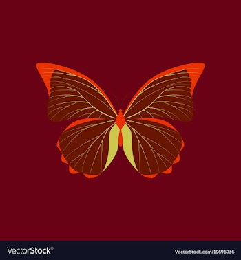 Colorful icon of butterfly isolated on red vector image