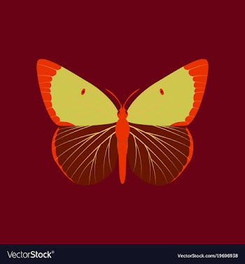 Colorful icon of butterfly isolated on red vector image