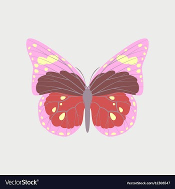 Colorful icon of butterfly isolated on white vector image