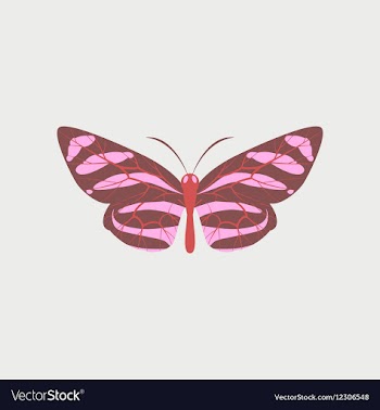 Colorful icon of butterfly isolated on white vector image