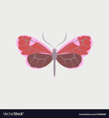 Colorful icon of butterfly isolated on white vector image