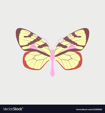 Colorful icon of butterfly isolated on white vector image