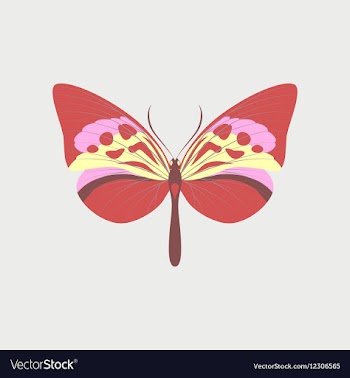 Colorful icon of butterfly isolated on white vector image