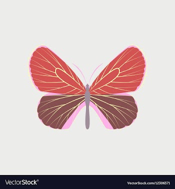 Colorful icon of butterfly isolated on white vector image