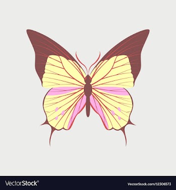 Colorful icon of butterfly isolated on white vector image